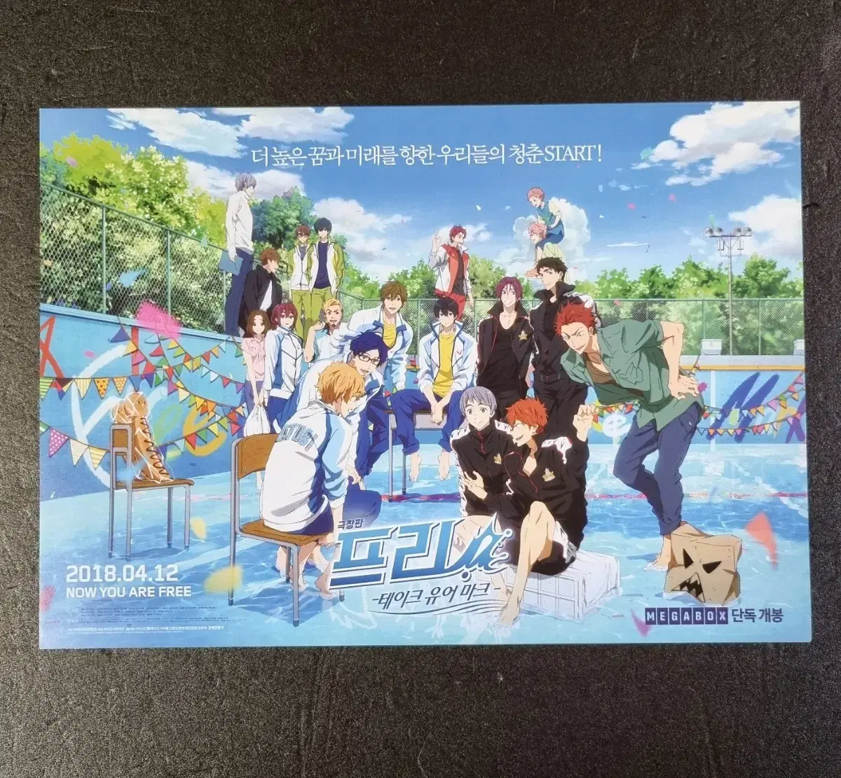 [영화팜플렛] 극장판 프리 free! 테이크유어마크 (2018)영화전단지